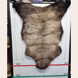 LAMMESKIND NATURLIGT - 6312