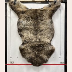 LAMMESKIND NATURLIGT - 6312