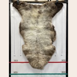 LAMMESKIND NATURLIGT - 6313