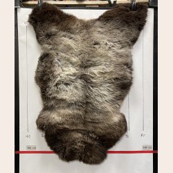 LAMMESKIND NATURLIGT - 6316