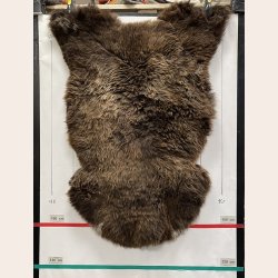 LAMMESKIND NATURLIGT - 6317