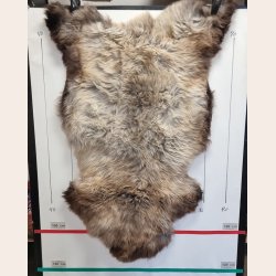 LAMMESKIND NATURLIGT - 6317