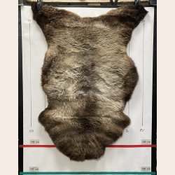 LAMMESKIND NATURLIGT - 6326