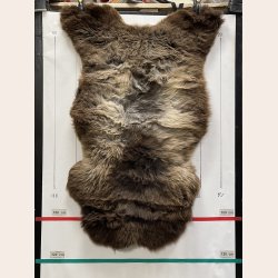 LAMMESKIND NATURLIGT - 6327