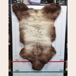 LAMMESKIND NATURLIGT - 6327