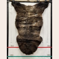 LAMMESKIND NATURLIGT - 6329