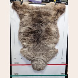 LAMMESKIND NATURLIGT - 6331