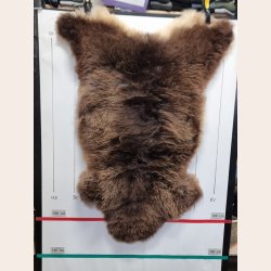 LAMMESKIND NATURLIGT - 6334