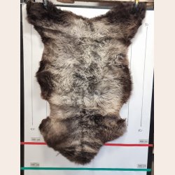 LAMMESKIND NATURLIGT - 6334