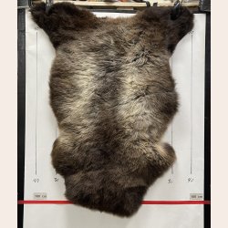 LAMMESKIND NATURLIGT - 6336