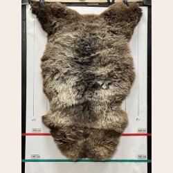 LAMMESKIND NATURLIGT - 6337