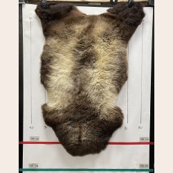 LAMMESKIND NATURLIGT - 6338