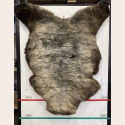 LAMMESKIND NATURLIGT - 6344