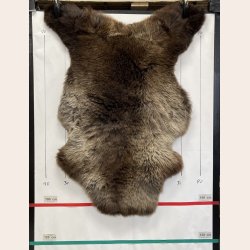 LAMMESKIND NATURLIGT - 6351