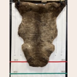 LAMMESKIND NATURLIGT - 6354