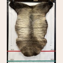 LAMMESKIND NATURLIGT - 6355