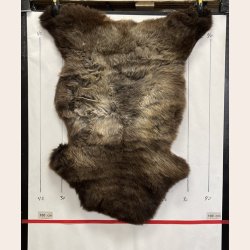 LAMMESKIND NATURLIGT - 6359