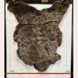 LAMMESKIND NATURLIGT - 6362