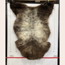 LAMMESKIND NATURLIGT - 6364