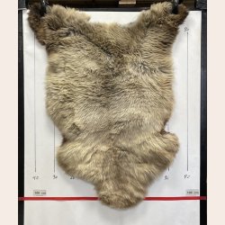 LAMMESKIND NATURLIGT - 6365