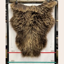 Islandsk lammeskind langh�ret naturligt brun str L - 3310