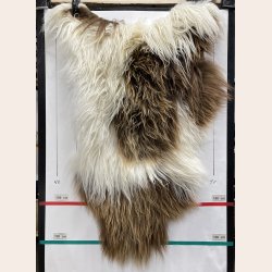 Islandsk lammeskind plettet str XL 4213