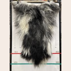 Islandsk lammeskind plettet str XL 4215