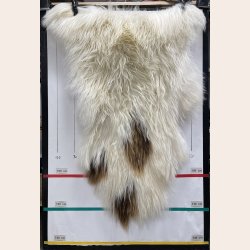 Islandsk lammeskind plettet str XL 4216