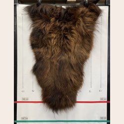 Islandsk lammeskind langh�ret brunt str M - 2317