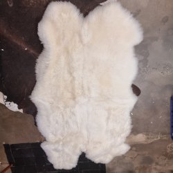 Tppe af 4 Lammeskind 9901