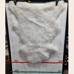 Babyskind vaskbar - 9025