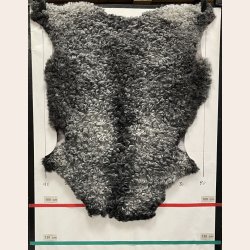 Gottlandsk Lammeskind gr�t kr�llet vaskbar - 8012