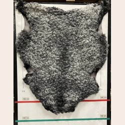 Gottlandsk Lammeskind gr�t kr�llet vaskbar - 8016