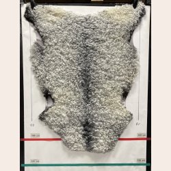 Gottlandsk Lammeskind gr�t kr�llet vaskbar - 8018