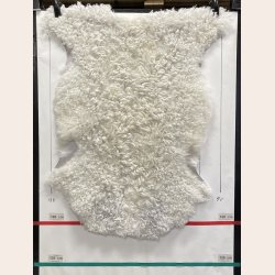 Leicester Lammeskind lyst kr�llet vaskbar - 8411